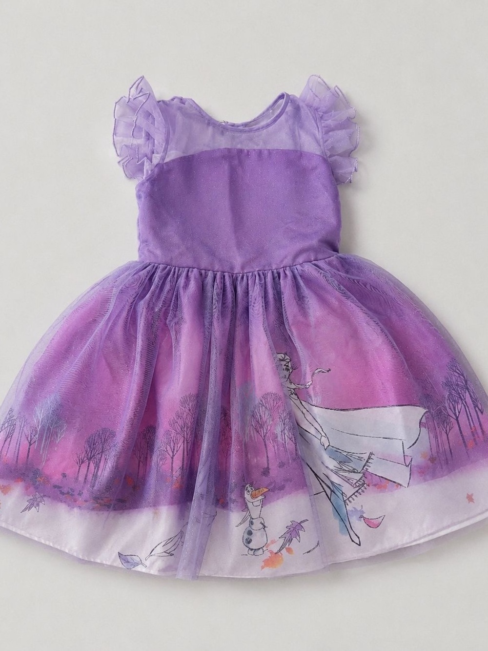 Disney Purple Frozen-Inspired Tulle Dress
